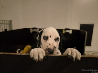 IMG_20250225_200508_web