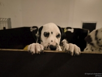 IMG_20250225_200509_web