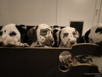 IMG_20250225_200512_web