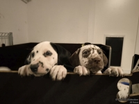 IMG_20250225_200516_web