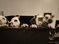 IMG_20250225_200518_web