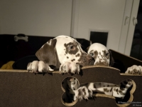 IMG_20250225_200531_web