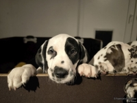 IMG_20250225_200534_web