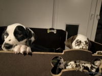 IMG_20250225_200536_web