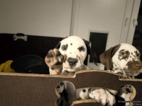 IMG_20250225_200538_web