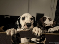 IMG_20250225_200539_web