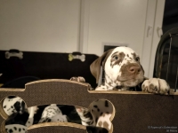 IMG_20250225_200543_web