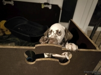 IMG_20250225_200546_web