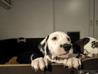 IMG_20250225_200550_web