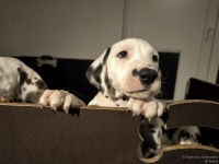 IMG_20250225_200552_web