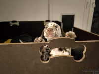 IMG_20250225_200619_web