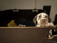 IMG_20250225_200620_web