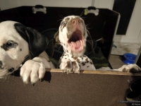 IMG_20250225_200646_web