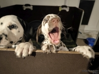 IMG_20250225_200647_web