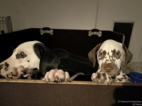 IMG_20250225_200653_web