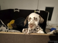 IMG_20250225_200655_web