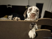 IMG_20250225_200701_web