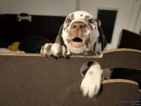 IMG_20250225_200702_web