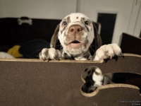 IMG_20250225_200703_web