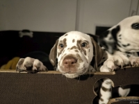 IMG_20250225_200705_web