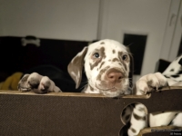 IMG_20250225_200706_web