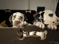 IMG_20250225_200708_web