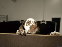 IMG_20250225_200715_web