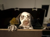 IMG_20250225_200718_web