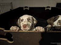 IMG_20250225_200723_web