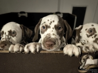 IMG_20250225_200727_web