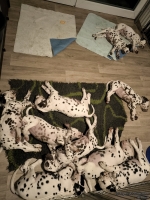 IMG_20250225_215904_web