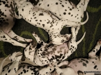 IMG_20250225_215914_web