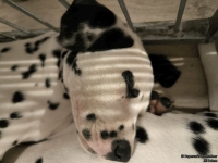 IMG_20250225_215936_web