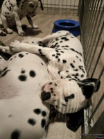 IMG_20250225_220036_web