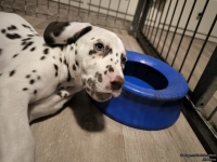 IMG_20250225_220053_web