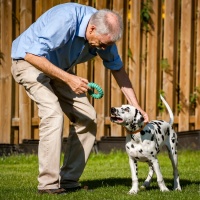 20190824_garten_4073