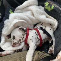 0482b95d-7e2a-4c66-b01d-7b4a9f061530