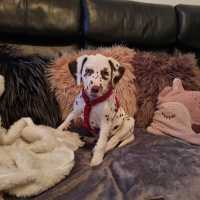 085e2545-c6ed-43fc-977a-337702efbe77