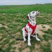 1d52f36c-6bb3-49ae-96a9-44d65e6bbee5