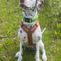 3431772a-c749-450e-a540-a5271a192c37