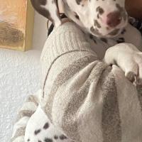 3c493219-63c5-4fe0-809a-3138875237d5