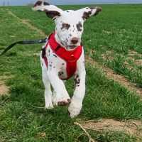 4bb3cb13-c89f-40e6-8350-2e2851eb46c1