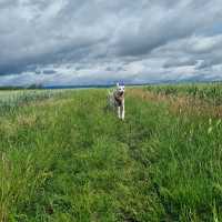 505d21d1-60bf-4f22-a7f2-54bca9f140e8