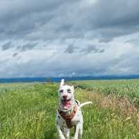 5a7e34d3-ae5d-4162-a8f9-5b553590ca20