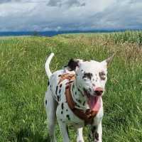 6401e587-27b0-43cc-b751-6c7ea21ef8ab