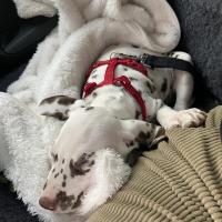 7a22250d-0e58-4536-a867-3a64a9006e5d