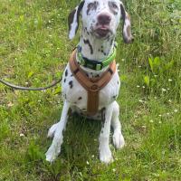 844684b9-c879-419e-af99-3b4890cda356