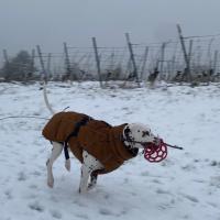 WhatsApp-Image-2026-02-24-at-19.26.33