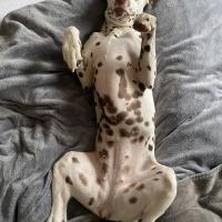 WhatsApp-Image-2026-02-24-at-19.26.331