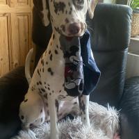 WhatsApp-Image-2026-02-24-at-19.26.34